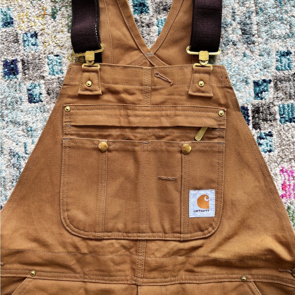 Carhartt Overalls: Men's R41 Lined Bib Overalls 40x30